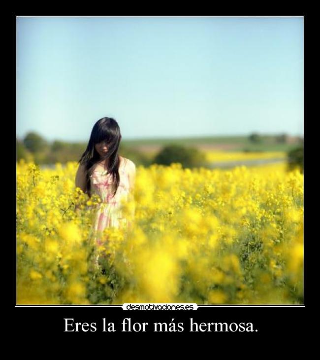Eres la flor más hermosa. -