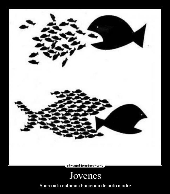 Jovenes - Ahora si lo estamos haciendo de puta madre