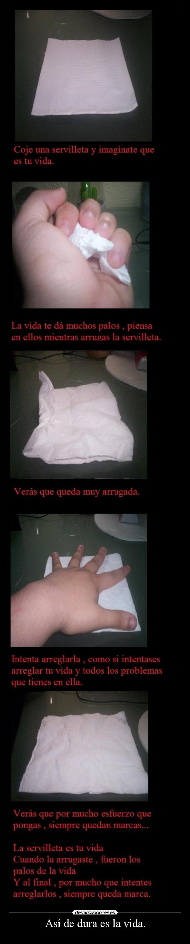 Así de dura es la vida. -