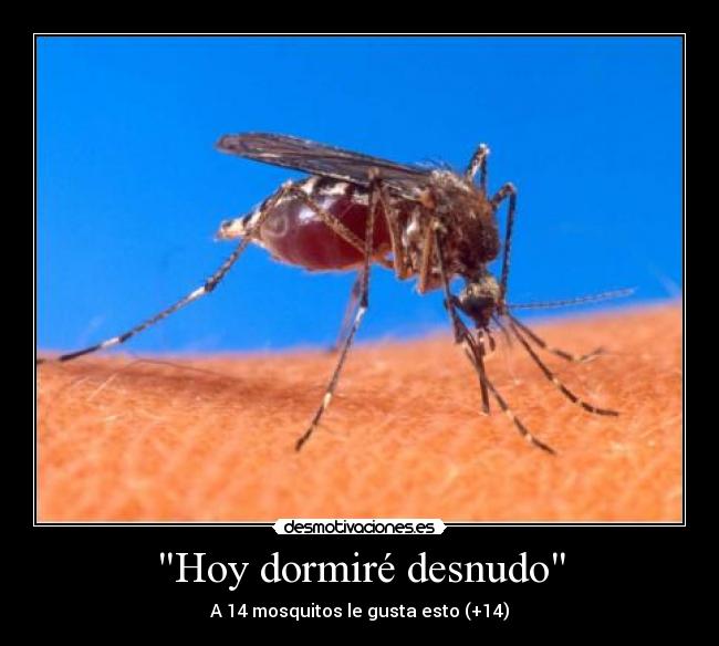 Hoy dormiré desnudo - A 14 mosquitos le gusta esto (+14)
