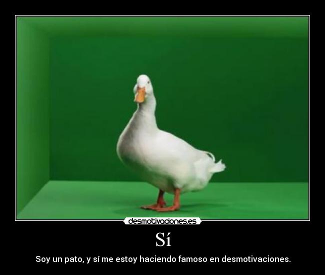 Sí - Soy un pato, y sí me estoy haciendo famoso en desmotivaciones.