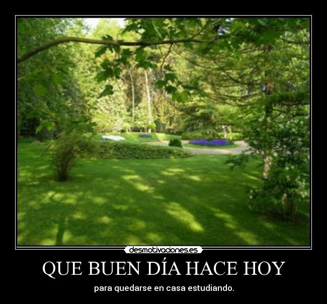 QUE BUEN DÍA HACE HOY - para quedarse en casa estudiando.