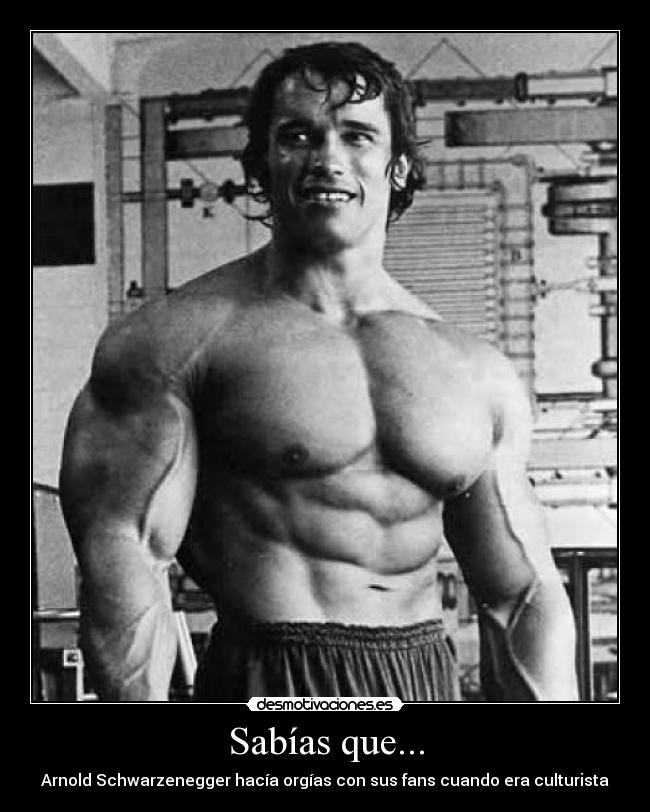 Sabías que... - Arnold Schwarzenegger hacía orgías con sus fans cuando era culturista