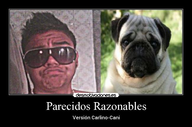Parecidos Razonables -