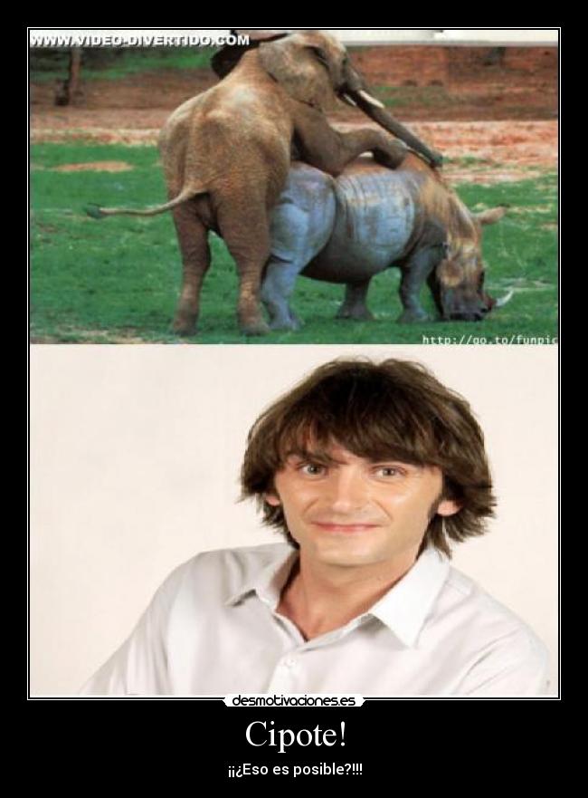 Cipote! -