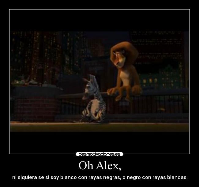 Oh Alex, - ni siquiera se si soy blanco con rayas negras, o negro con rayas blancas.