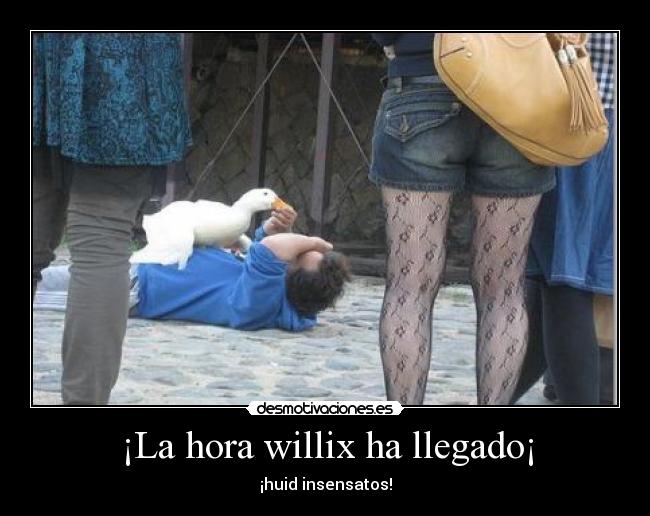 ¡La hora willix ha llegado¡ - ¡huid insensatos!
