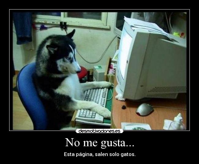 No me gusta... - 