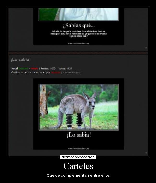 Carteles - Que se complementan entre ellos