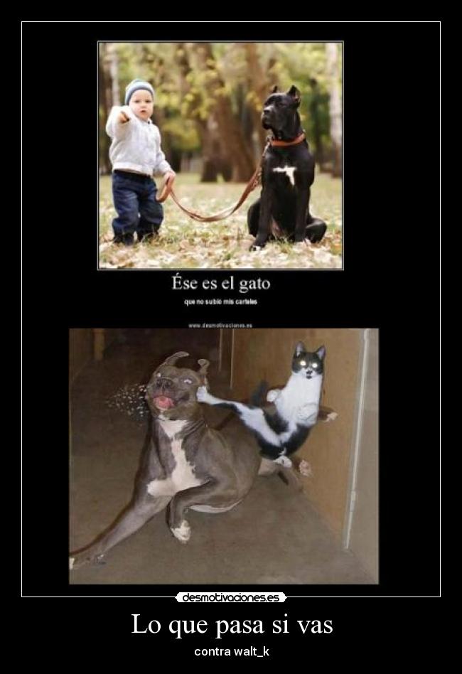 Lo que pasa si vas -