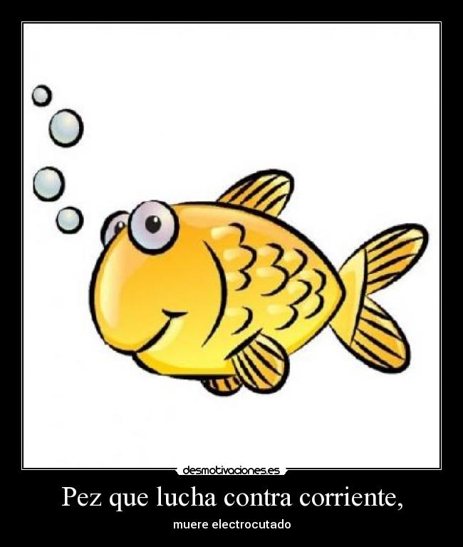 Pez que lucha contra corriente, - 