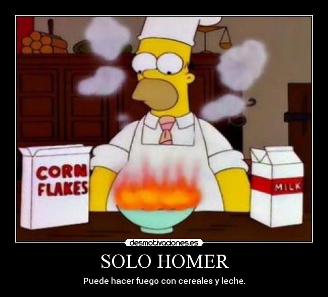 SOLO HOMER -