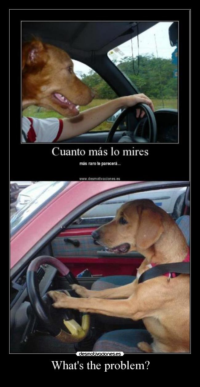 Whats the problem? -