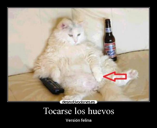 Tocarse los huevos - 