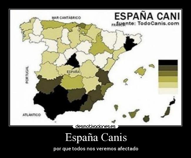España Canis - 