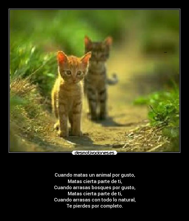 - Cuando matas un animal por gusto,
Matas cierta parte de ti,
Cuando arrasas bosques por gusto,
Matas cierta parte de ti,
Cuando arrasas con todo lo natural,
Te pierdes por completo.