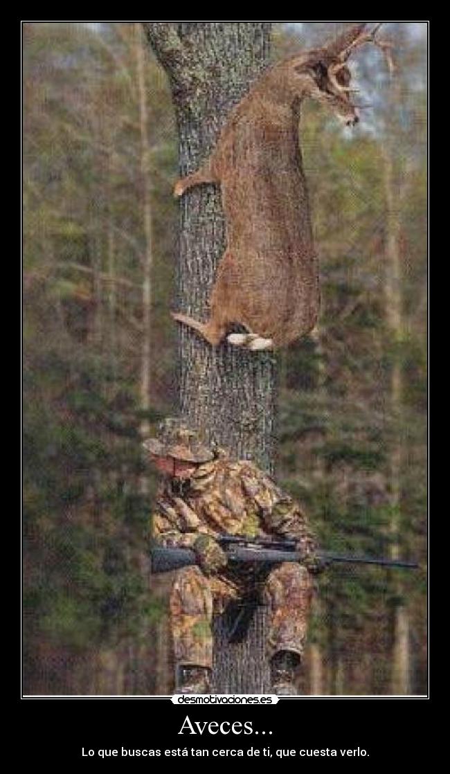 Aveces... - Lo que buscas está tan cerca de ti, que cuesta verlo.