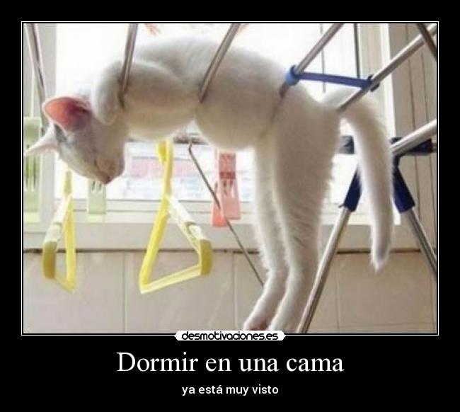 Dormir en una cama - ya está muy visto