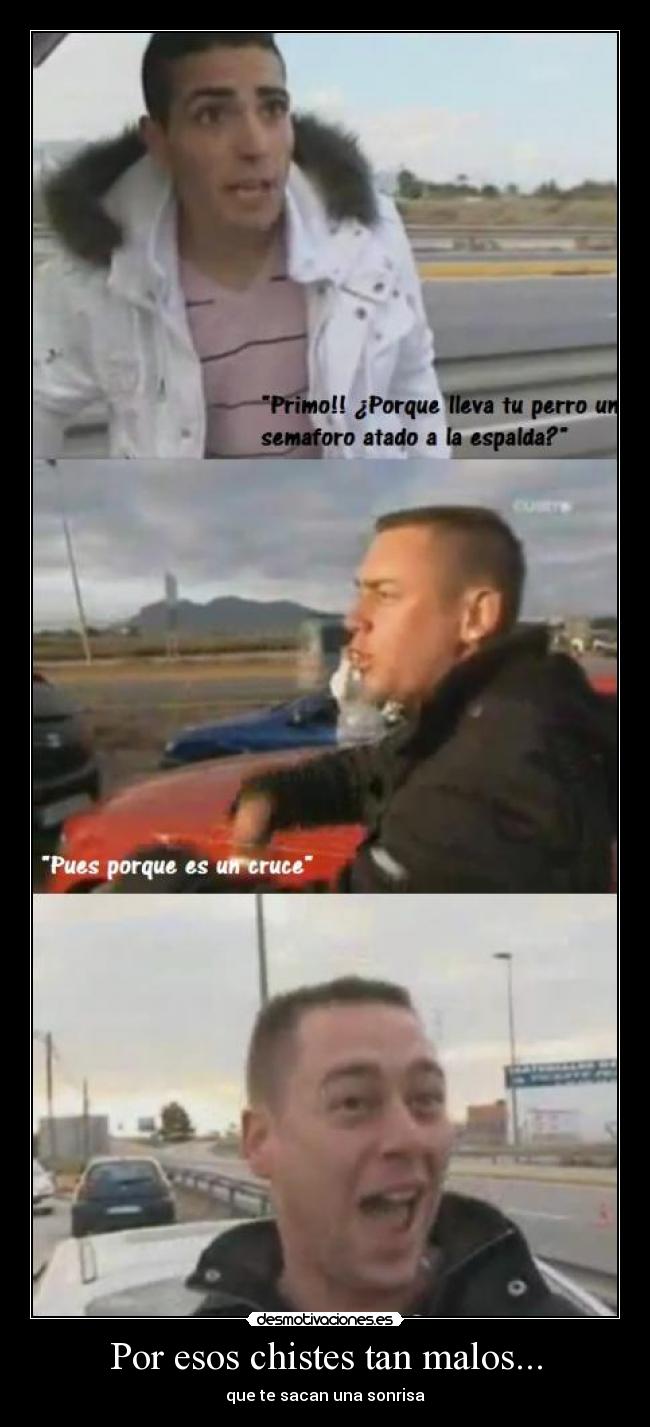 carteles chiste malo risa humor comico perro semaforo espalda cruce primo canis chistes desmotivaciones