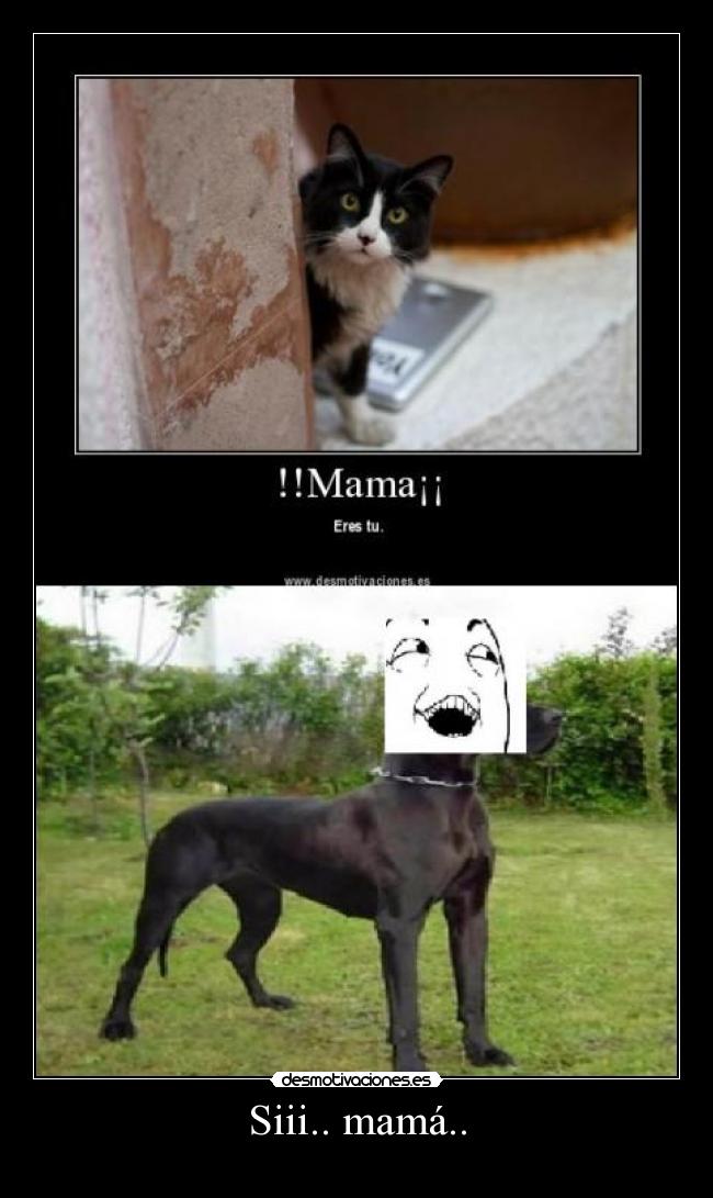Siii.. mamá.. -