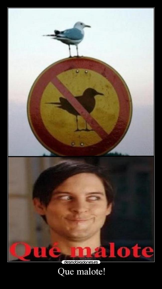 Que malote! - 