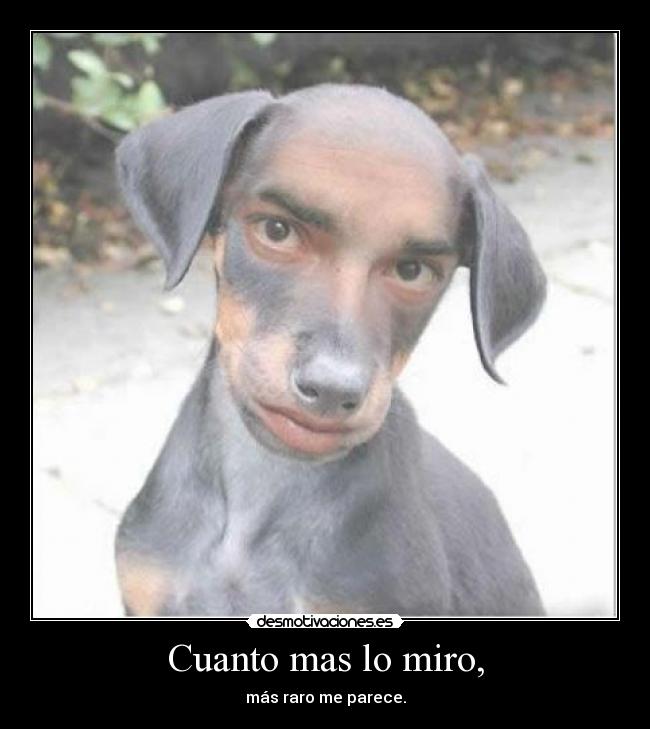 Cuanto mas lo miro, - más raro me parece.