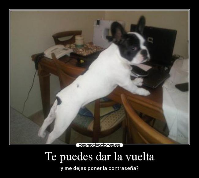 Te puedes dar la vuelta -