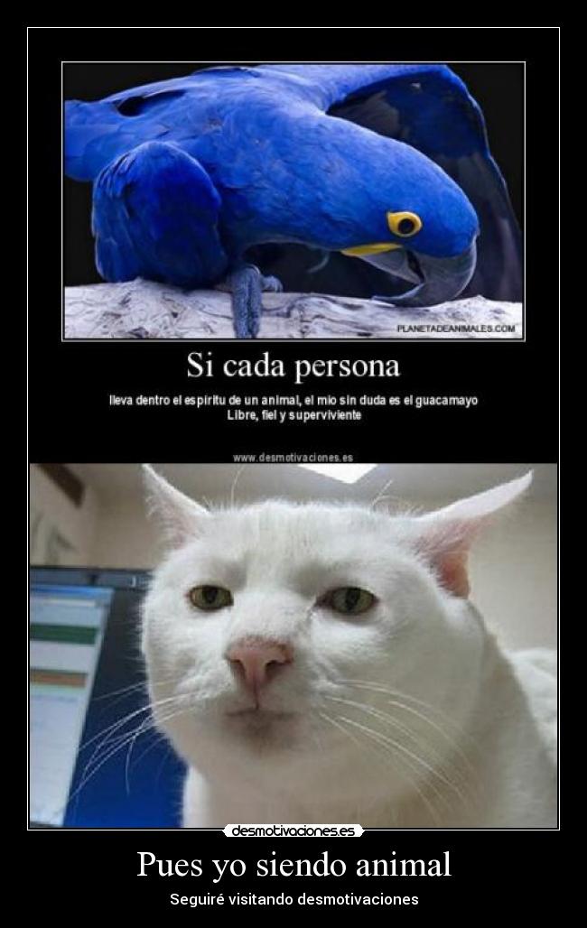 Pues yo siendo animal - Seguiré visitando desmotivaciones