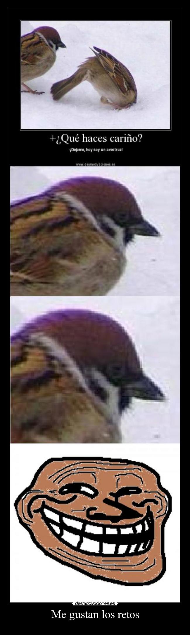 Me gustan los retos -