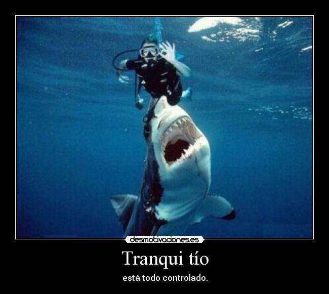 Tranqui tío - está todo controlado.