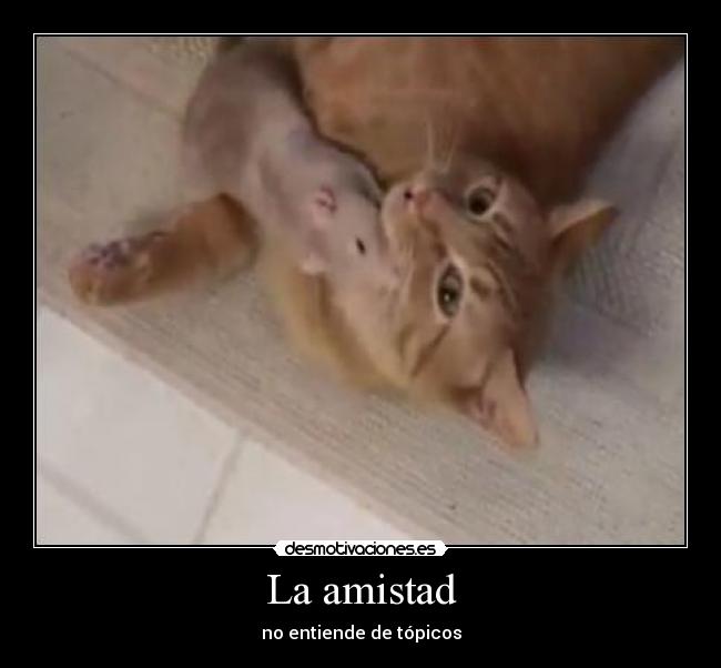 La amistad - no entiende de tópicos