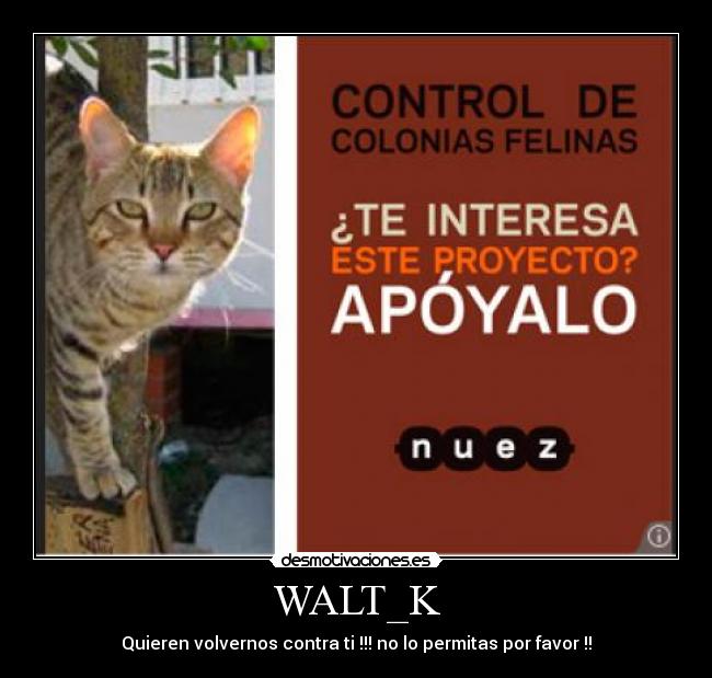 WALT_K - Quieren volvernos contra ti !!! no lo permitas por favor !!