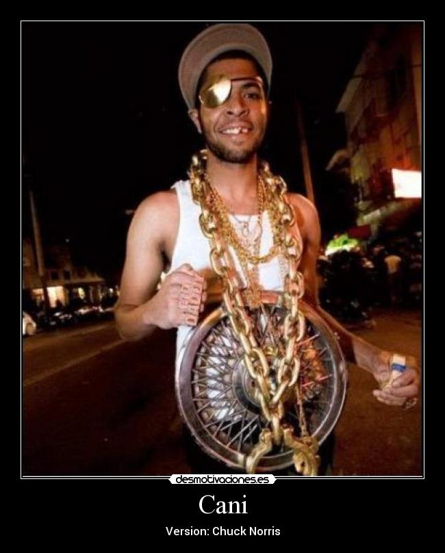 carteles cani chuck norris desmotivaciones