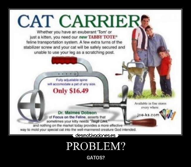 carteles gatos desmotivaciones