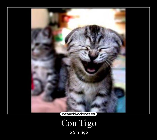 Con Tigo - 