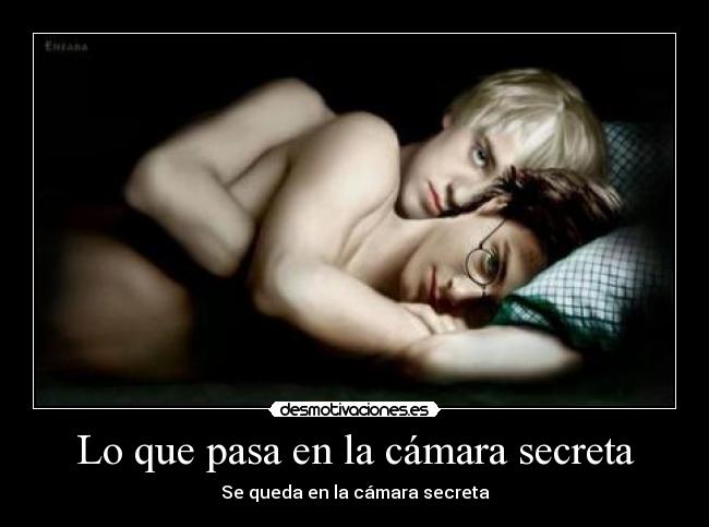 Lo que pasa en la cámara secreta - Se queda en la cámara secreta
