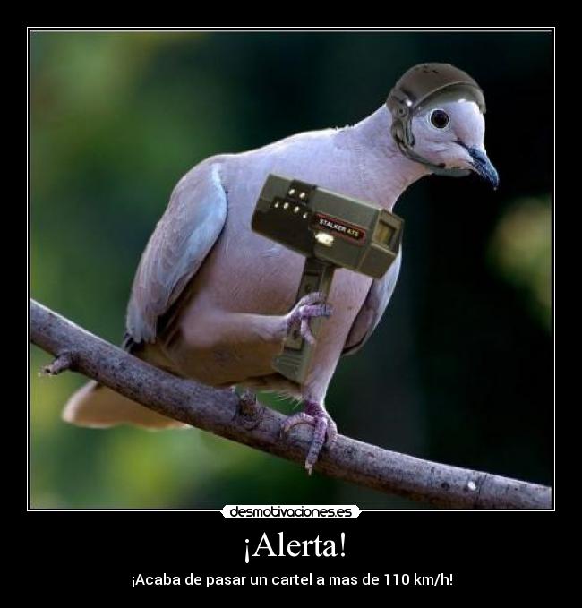 ¡Alerta! - 