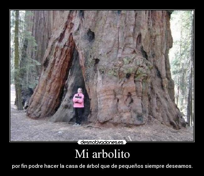 Mi arbolito - por fin podre hacer la casa de árbol que de pequeños siempre deseamos.