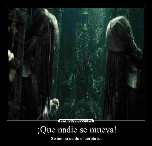 ¡Que nadie se mueva! - 