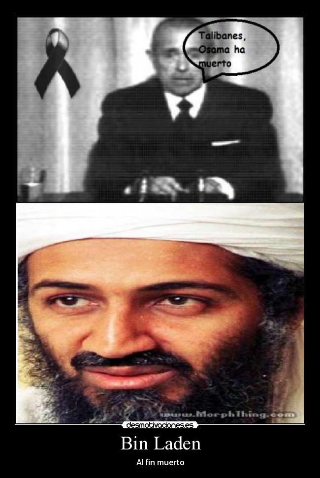 carteles osama bin laden muerto desmotivaciones