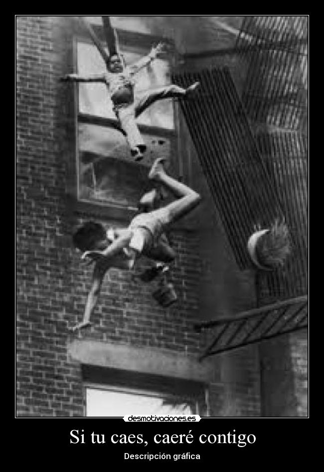 Si tu caes, caeré contigo -