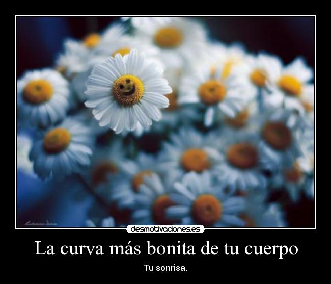 La curva más bonita de tu cuerpo - Tu sonrisa.