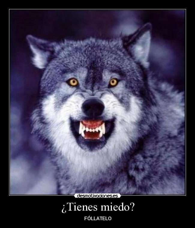 ¿Tienes miedo? - 