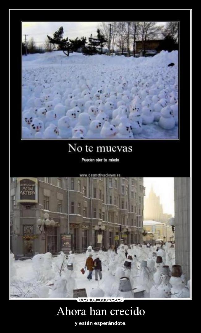 Ahora han crecido - y están esperándote.