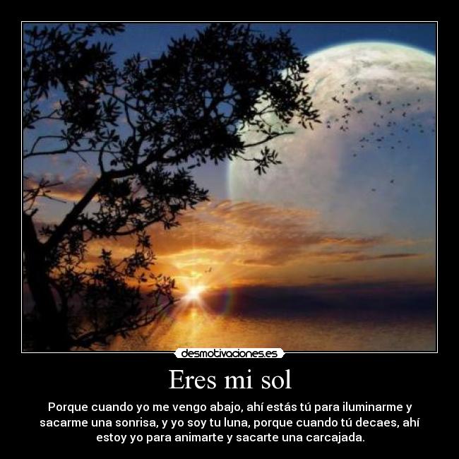 carteles eres sol desmotivaciones