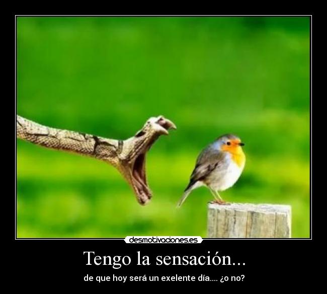 Tengo la sensación... - 