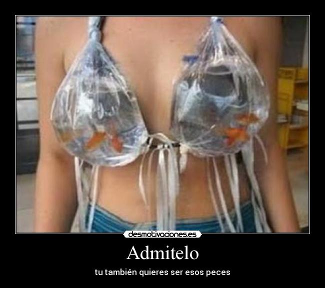 Admitelo - tu también quieres ser esos peces