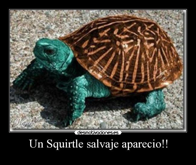 carteles squirtle desmotivaciones