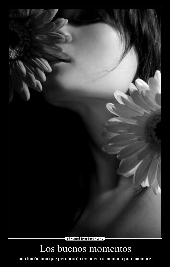 carteles los buenos momentos son unicos estaran perdurar memoria flor vida vivir feliz siempre desmotivaciones