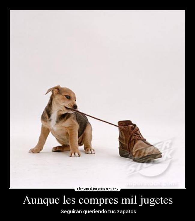 Aunque les compres mil jugetes -  Seguirán queriendo tus zapatos
